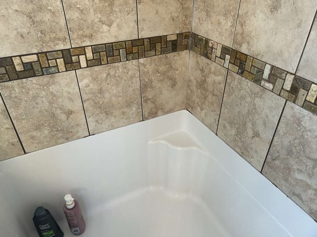 Why Mould Comes Back After Resealing (And How to Stop It) Photo